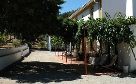 Quinta Do Vaqueirinho - Agro-Turismo
